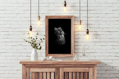 Maine Coon Cat Black & White Wall Art