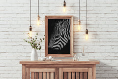 Zebra Black & White Wall Art