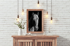 American Quarter Horse Black & White Wall Art