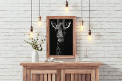 Northern Giraffe Black & White Wall Art