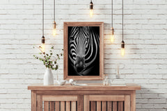 Zebra Black & White Wall Art