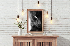 Static Eyes Cat Black & White Wall Art