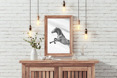 Sorrel Horse Black & White Wall Art