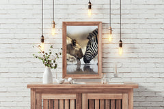 Zebra and Tiger Drinking Water Wall Art