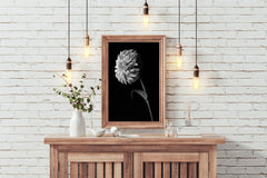 Dahlia Black & White Wall Art