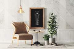 Stallion Black & White Wall Art