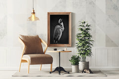 Spoonbills Black & White Wall Art