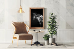 Zebra Black & White Wall Art