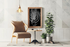 Zebra Black & White Wall Art