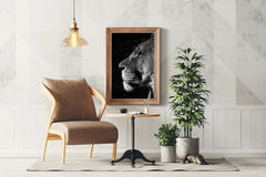 Barbary Lion Black & White Wall Art