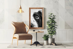 Border Collie Dog Black & White Wall Art