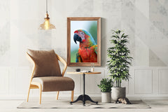 Beautiful Macaw Parrot Wall Art