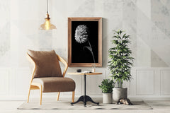 Dahlia Black & White Wall Art