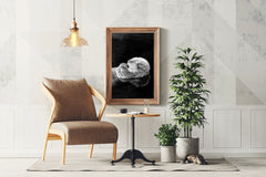 Sea Otter Black & White Wall Art