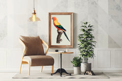 Painting of Sun Conure Parrot Wall Art