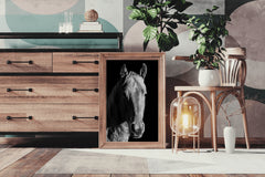 American Quarter Horse Black & White Wall Art