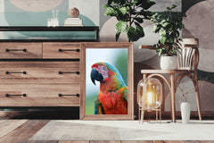 Beautiful Macaw Parrot Wall Art