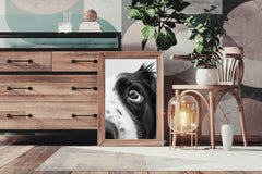 Border Collie Dog Black & White Wall Art