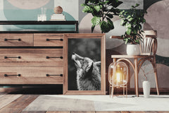 Coyote Black & White Wall Art