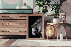 Barbary Lion Black & White Wall Art