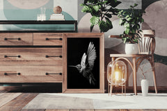 Hummingbird Black & White Wall Art