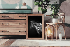 Zebra Black & White Wall Art