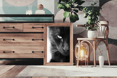 Static Eyes Cat Black & White Wall Art