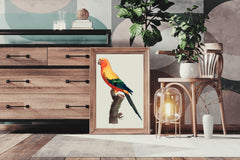 Painting of Sun Conure Parrot Wall Art