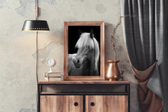 Icelandic Horse Black & White Wall Art