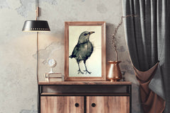 Black Bird - Watercolor Modern Wall Art - beink online art store