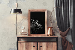 Alaska Moose Black & White Wall Art