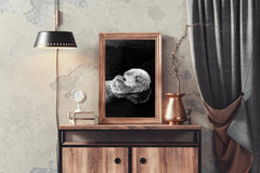 Sea Otter Black & White Wall Art