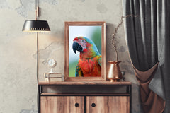 Beautiful Macaw Parrot Wall Art