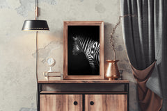 Zebra Black & White Wall Art