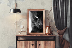 Static Eyes Cat Black & White Wall Art