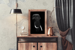 African Bush Elephant Black & White Wall Art