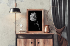 Dahlia Black & White Wall Art