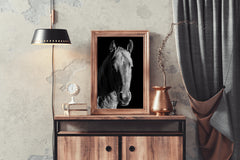 American Quarter Horse Black & White Wall Art