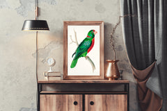 Watorcolor Painting of Green Parrot Wall Art