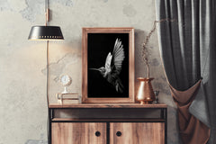 Hummingbird Black & White Wall Art