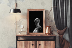 White Stork Bird Black & White Wall Art