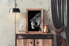 Barbary Lion Black & White Wall Art