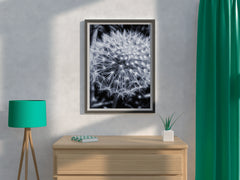 Common Dandelion Black & White Wall Art