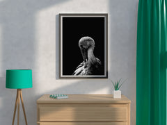 White Stork Bird Black & White Wall Art