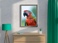 Beautiful Macaw Parrot Wall Art