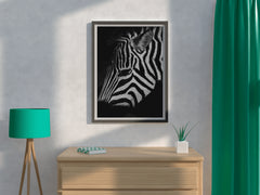 Zebra Black & White Wall Art