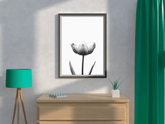 Tulip Black & White Wall Art