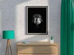 Macaw Black & White Wall Art