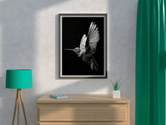 Hummingbird Black & White Wall Art