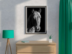 American Quarter Horse Black & White Wall Art